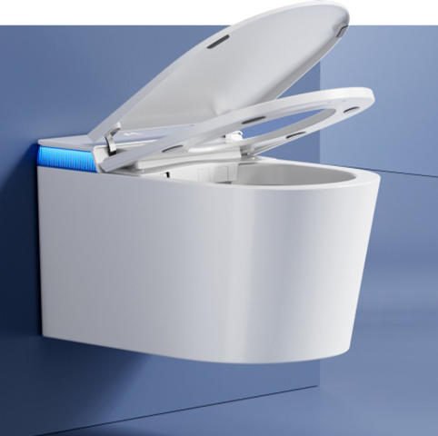 Smart Toilet 507